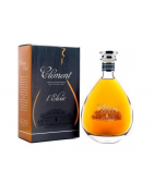 Clément Elixir | 0,7 | 42%