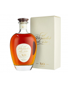 El Pasador de oro XO | 0,7 L | 40%