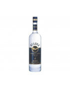 Beluga Transatlantic Navy | 0,7 L | 40%