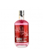 Gin Rammstein Pink | 0,7 L | 40%