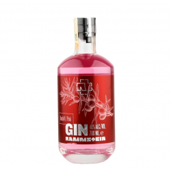 Gin Rammstein Pink | 0,7 L...