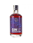 Rammstein Sloe Gin | 0,7 L | 27%