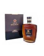 Bologne XO | 0,7 L | 42%